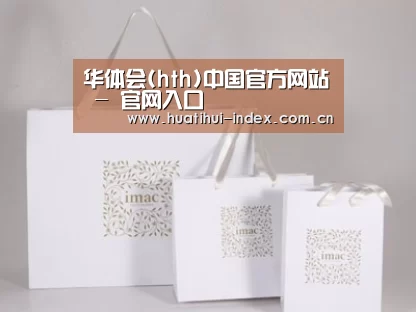 项目名称十一