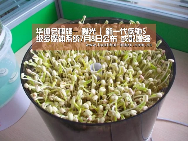 华体会棋牌