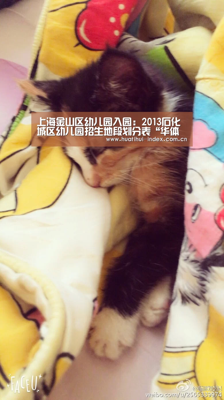 华体会官网