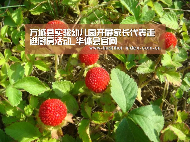 华体会入口