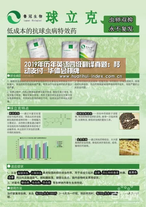 2019年历年英语四级翻译真题:移动支付-华体会棋牌(图3) 华体会入口