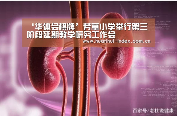 华体会入口