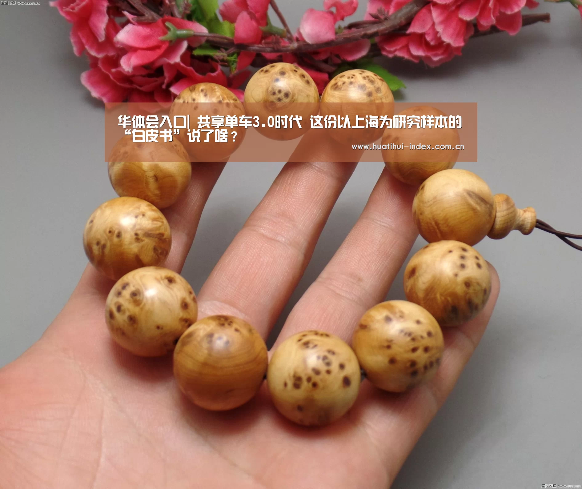 华体会棋牌